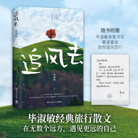 追风去（知名作家毕淑敏经典旅行散文《人生终要有一场触及灵魂的旅行》重磅升级）
