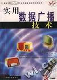 实用数据广播技术