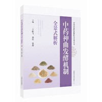 中药神曲发酵机制全景式解析（中药质量特征解析及应用丛书）