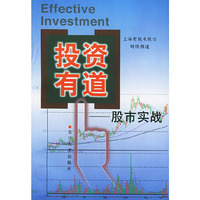 投资有道：股市实战