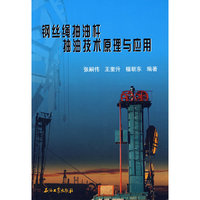 钢丝绳抽油杆抽油技术原理与应用