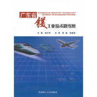 广东省镁工业技术路线图