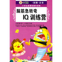（小学生新课标课外读物.第十一辑）脑筋急转弯 IQ训练营
