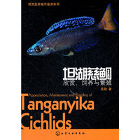 坦湖慈鲷欣赏.饲养与繁殖