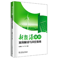 新能源项目案例解读与风控指南