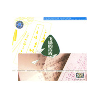 飞扬的青春(CD)