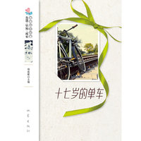 十七岁的单车