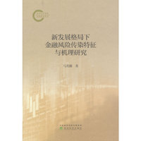 新发展格局下金融风险传染特征与机理研究