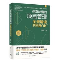 你真能懂的项目管理：全景解读PMBOK