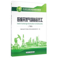 压缩天然气场站运行工(下石油石化职业技能培训教程)