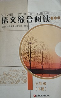 语文综合阅读  升级版 六年级（ 下册 ）