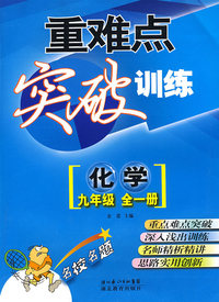 重难点突破训练：化学（九年级 全一册）