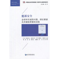 能源安全-全球和区域性问题.理论展望及关键能源基础设施
