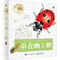 身边的大自然 谁在地上爬（全彩）