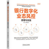 银行数字化业态风控：原理与实践    胡小龙 胡瑞霖     风控 智能风控 大数据风控 数字金融 数字风控 电子银行 网上银行 手机银行 开放银行 远程银行