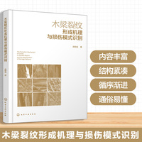 木梁裂纹形成机理与损伤模式识别
