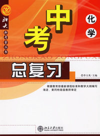中考总复习：化学