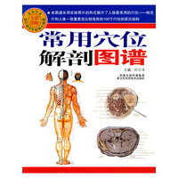 常用穴位解剖图谱