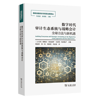 数字时代审计生态系统与战略会计(国家金融安全与风险治理译丛)