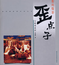 大数码系列——歪点子