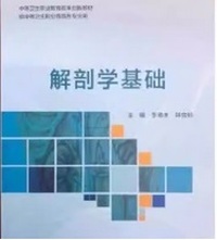 解剖学基础