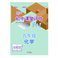 2019朗声初中课堂评估1+1九年级化学