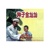 种子金灿灿