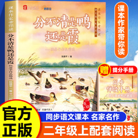 课本作家带你读：分不清是鸭还是霞二年级上册