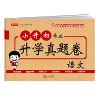 2020春人教版R综合应用创新题典中点六年级语文下册小学六年级语文应用题总复习资料小升初六年语文典点