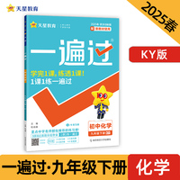 一遍过 初中 九年级下册 化学 KY（科粤）教材同步练习 2025年新版天星教育