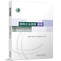 国有企业团课教程 国网四川省电力公司技能培训中心 国有企业共青团培训教材 基层团组织工作手册
