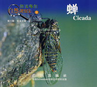 蝉——新法布尔自然观察法（第一辑 昆虫王国）