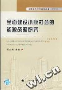 全面建设小康社会的能源战略研究