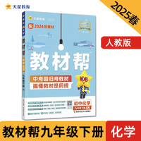 教材帮 初中 九年级下册 化学 RJ（人教）教材同步讲解 2025年新版天星教育