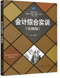 会计综合实训（实操版）