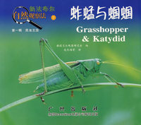 蚱蜢与蝈蝈——新法布尔自然观察法（第一辑 昆虫王国）