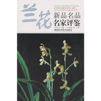 兰花新品名品名家评鉴