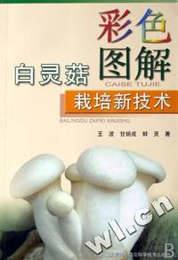 彩色图解白灵菇栽培新技术