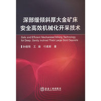 深部缓倾斜厚大金矿床安全高效机械化开采技术