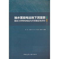抽水蓄能电站地下洞室群围岩力学特性响应与开挖稳定性评价