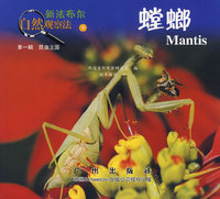 螳螂——新法布尔自然观察法（第一辑 昆虫王国）