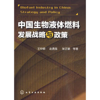 中国生物液体燃料发展战略与政策