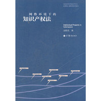 网络环境下的知识产权法