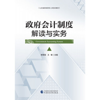 政府会计制度解读与实务
