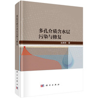 多孔介质含水层污染与修复