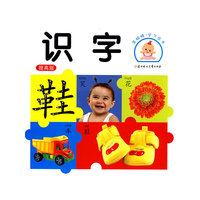 亮眼睛·学习丛书:识字(提高版)