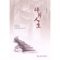 碎片人生
