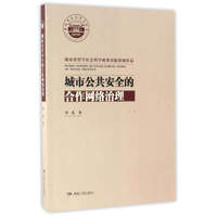 城市公共安全的合作网络治理