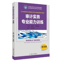 审计实务专业能力训练（活页版）
