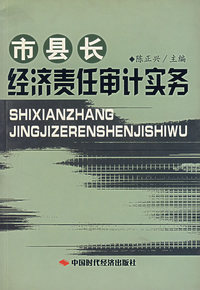 市县长经济责任审计实务